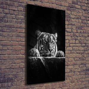 Vertikální Moderní fotoobraz canvas na rámu Tygr ocv-101258480