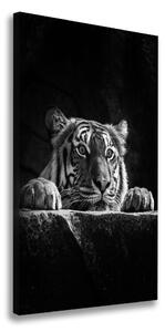 Vertikální Moderní fotoobraz canvas na rámu Tygr ocv-101258480