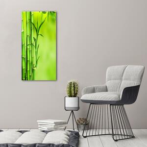 Vertikální Moderní fotoobraz canvas na rámu Bambus ocv-101574587