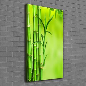 Vertikální Moderní fotoobraz canvas na rámu Bambus ocv-101574587