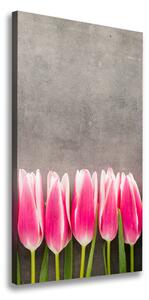 Vertikální Foto obraz na plátně Růžové tulipány ocv-102142486
