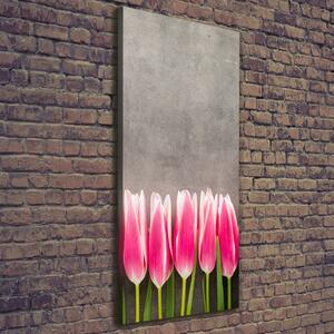 Vertikální Foto obraz na plátně Růžové tulipány ocv-102142486