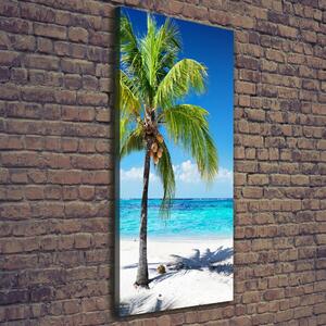 Vertikální Foto obraz na plátně Tropická pláž ocv-102463727
