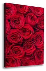 Vertikální Foto obraz na plátně Červené růže ocv-102803756