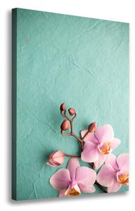 Vertikální Foto obraz na plátně Růžová orchidej ocv-102905480