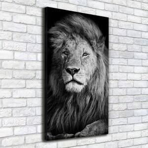 Vertikální Vertikální Foto obraz na plátně do obýváku Portrét lva ocv-102854237