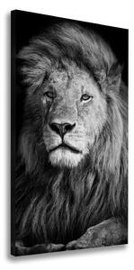 Vertikální Vertikální Foto obraz na plátně do obýváku Portrét lva ocv-102854237