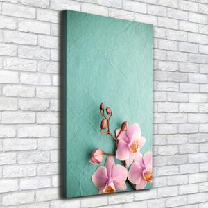 Vertikální Foto obraz na plátně Růžová orchidej ocv-102905480