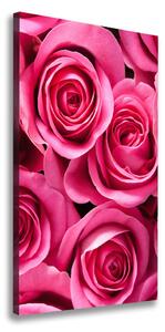 Vertikální Vertikální Foto obraz na plátně do obýváku Růžové růže ocv-102915574