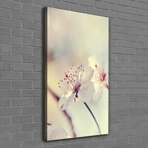 Vertikální Foto obraz canvas Květy višně ocv-102906126