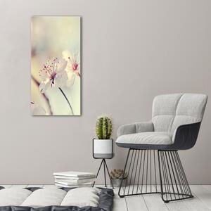 Vertikální Foto obraz canvas Květy višně ocv-102906126