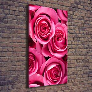 Vertikální Vertikální Foto obraz na plátně do obýváku Růžové růže ocv-102915574