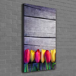 Vertikální Foto obraz na plátně Barevné tulipány ocv-103218042