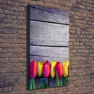 Vertikální Foto obraz na plátně Barevné tulipány ocv-103218042