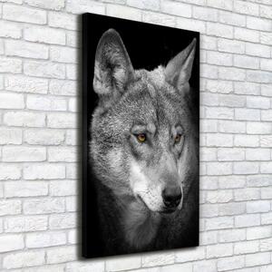 Vertikální Foto obraz na plátně Portrét vlka ocv-103311727