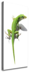 Vertikální Foto obraz na plátně Zelená ještěrka ocv-103468723