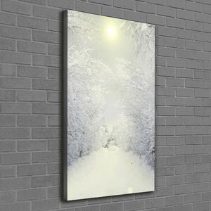 Vertikální Vertikální Foto obraz na plátně do obýváku Les zima ocv-103882841