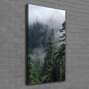 Vertikální Foto obraz na plátně Mlha nad lesem ocv-103817714