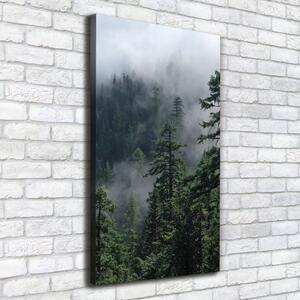Vertikální Foto obraz na plátně Mlha nad lesem ocv-103817714