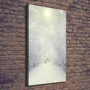 Vertikální Vertikální Foto obraz na plátně do obýváku Les zima ocv-103882841