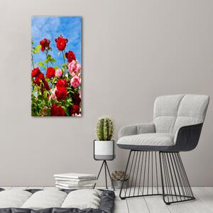 Vertikální Vertikální Foto obraz na plátně do obýváku Divoká růže ocv-104021490