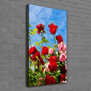 Vertikální Vertikální Foto obraz na plátně do obýváku Divoká růže ocv-104021490