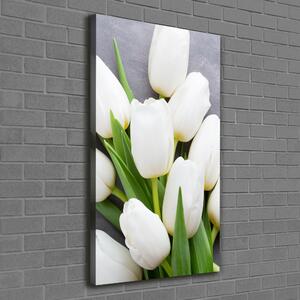 Vertikální Foto obraz na plátně Bílé tulipány ocv-104270630