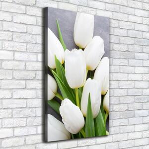 Vertikální Foto obraz na plátně Bílé tulipány ocv-104270630