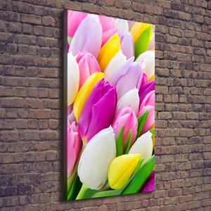 Vertikální Foto obraz na plátně Barevné tulipány ocv-104468261