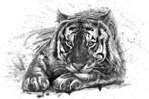 Tapeta tygr v černobílém provedení - 150x100 cm