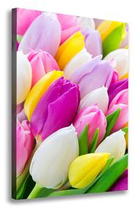 Vertikální Foto obraz na plátně Barevné tulipány ocv-104468261