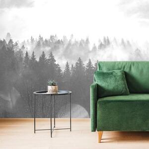 Samolepící fototapeta černobílá mlha nad lesem - 450x300 cm