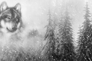 Tapeta vlk v zasněženém lese - 300x200 cm