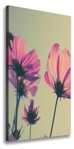 Vertikální Foto obraz na plátně Růžové květiny ocv-104707608