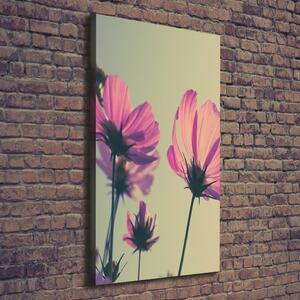 Vertikální Foto obraz na plátně Růžové květiny ocv-104707608