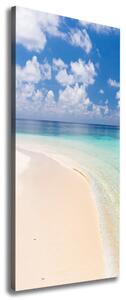 Vertikální Foto obraz na plátně Pláž Maledivy ocv-104787561