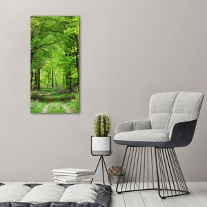 Vertikální Vertikální Foto obraz na plátně do obýváku Zelený les ocv-104709227