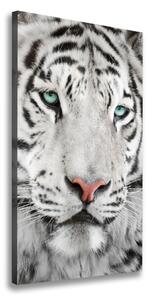 Vertikální Foto obraz canvas Bílý tygr ocv-104866855