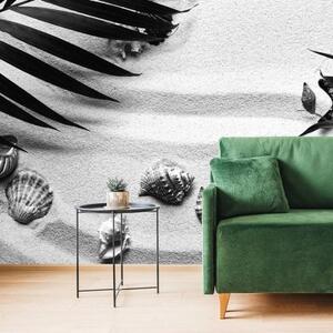 Tapeta mušle s palmovím listem černobílé - 450x300 cm