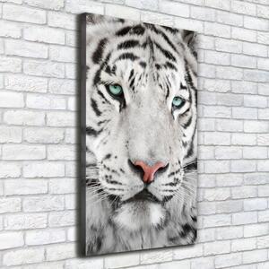Vertikální Foto obraz canvas Bílý tygr ocv-104866855