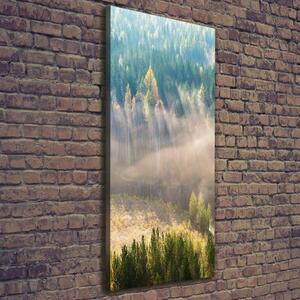 Vertikální Fotoobraz fotografie na plátně Mlha nad lesem ocv-104886541