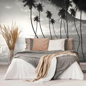Samolepící tapeta černobílé tropické palmy - 450x300 cm