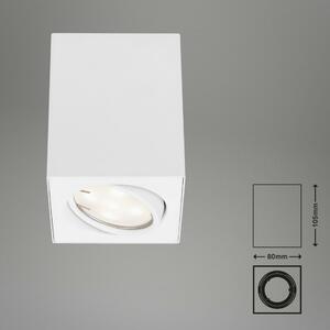 BRILONER LED přisazené svítidlo, 10,5 cm, 5 W, bílé BRI 7120-016
