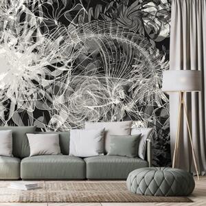 Samolepící tapeta černobílé abstraktní umění - 300x200 cm