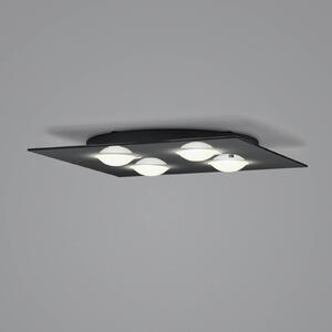 Helestra Nomi LED stropní světlo 38x38cm dim černá