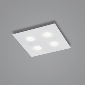 Helestra Nomi LED stropní světlo 38x38cm dim bílá