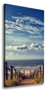 Vertikální Foto obraz na plátně Stezka na pláž ocv-105624494