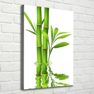 Vertikální Moderní fotoobraz canvas na rámu Bambus ocv-105685926