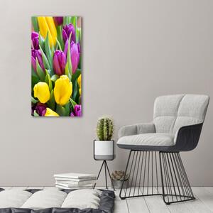 Vertikální Foto obraz na plátně Barevné tulipány ocv-106061917