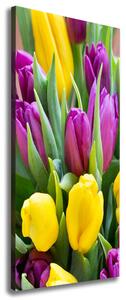 Vertikální Foto obraz na plátně Barevné tulipány ocv-106061917